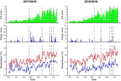 Comparative Performance of High-Yielding European Wheat Cultivars Under Contrasting Mediterranean Conditions